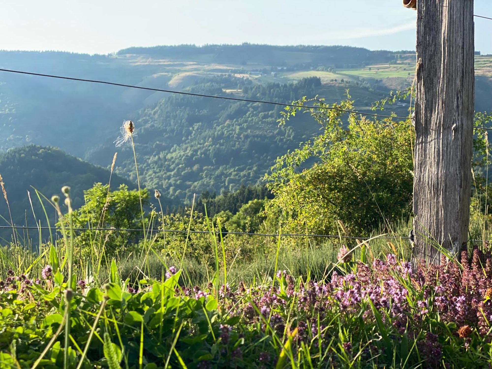 Tiny House De Tempoyrac Villa La Rochette  Dış mekan fotoğraf
