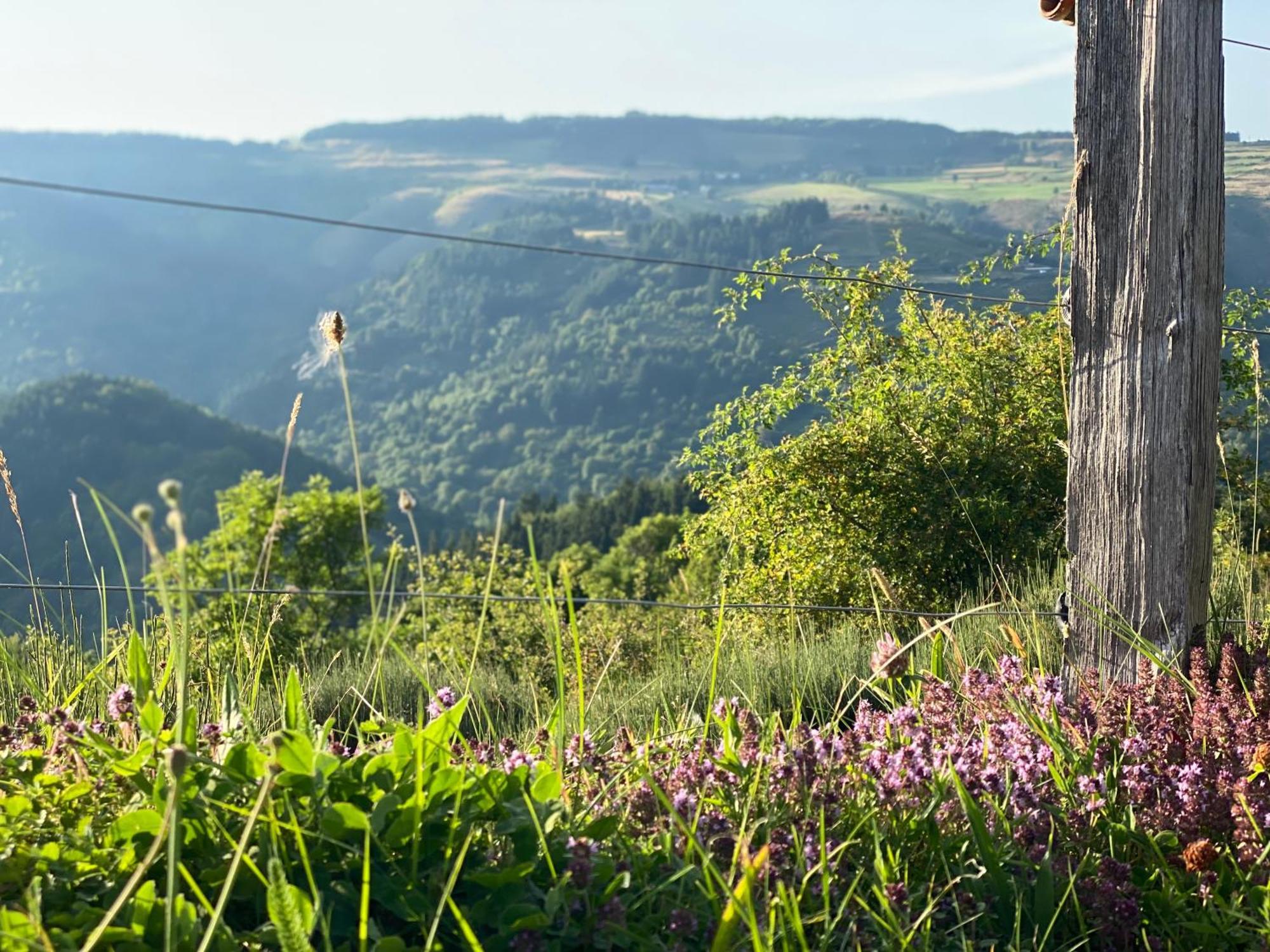 Tiny House De Tempoyrac Villa La Rochette  Dış mekan fotoğraf